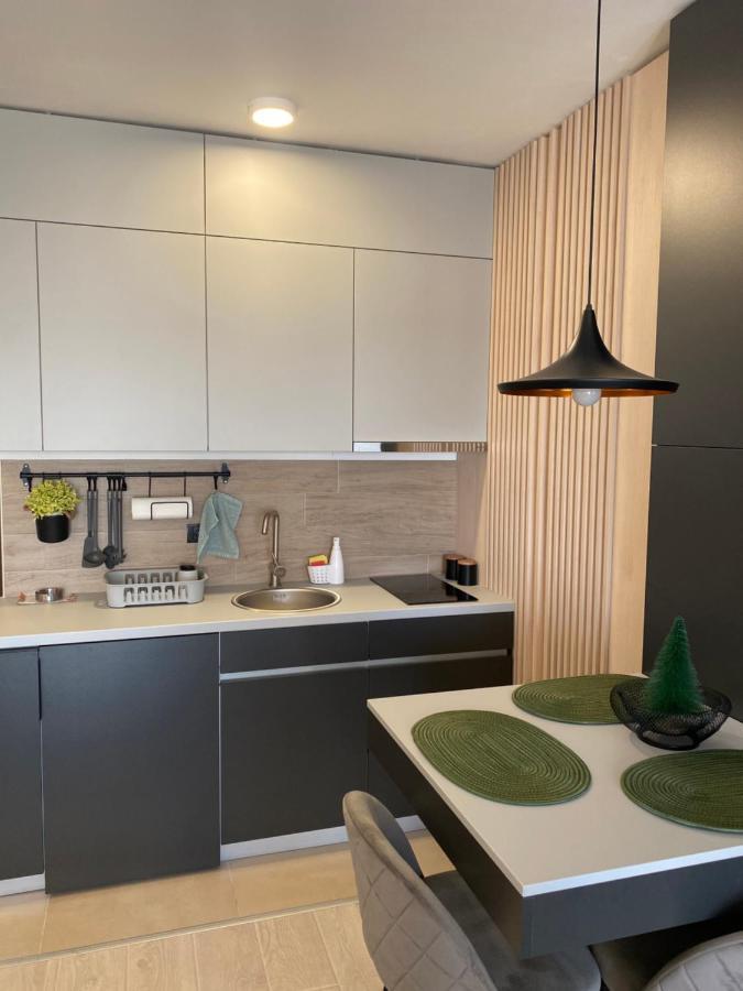 Apartmani Dzankovic Копаоник Экстерьер фото