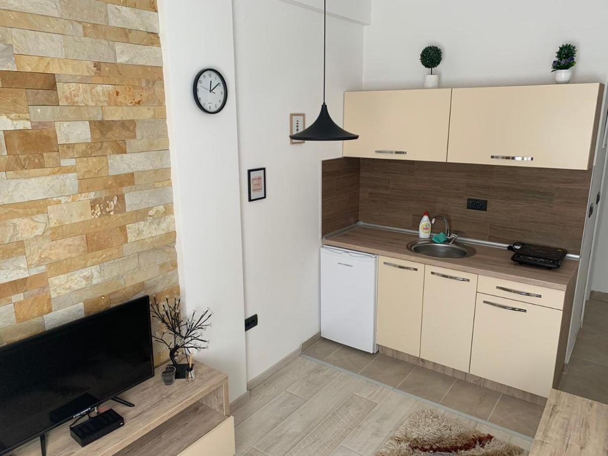 Apartmani Dzankovic Копаоник Экстерьер фото